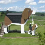 Dog Hotel
